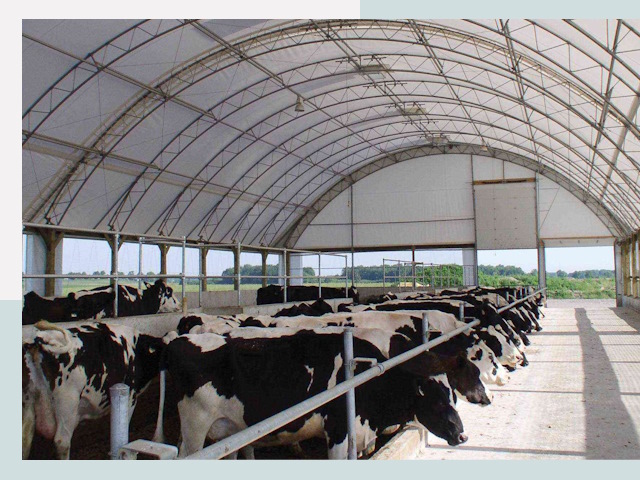 Тентовые коровники в Новоуральске